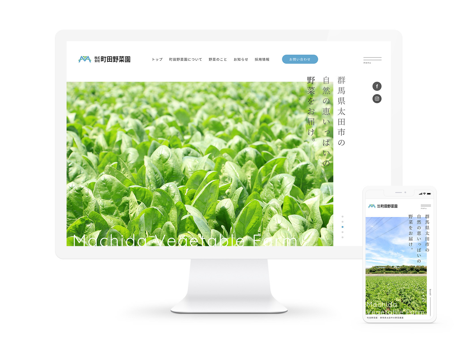 Machida Vegetable Farm image