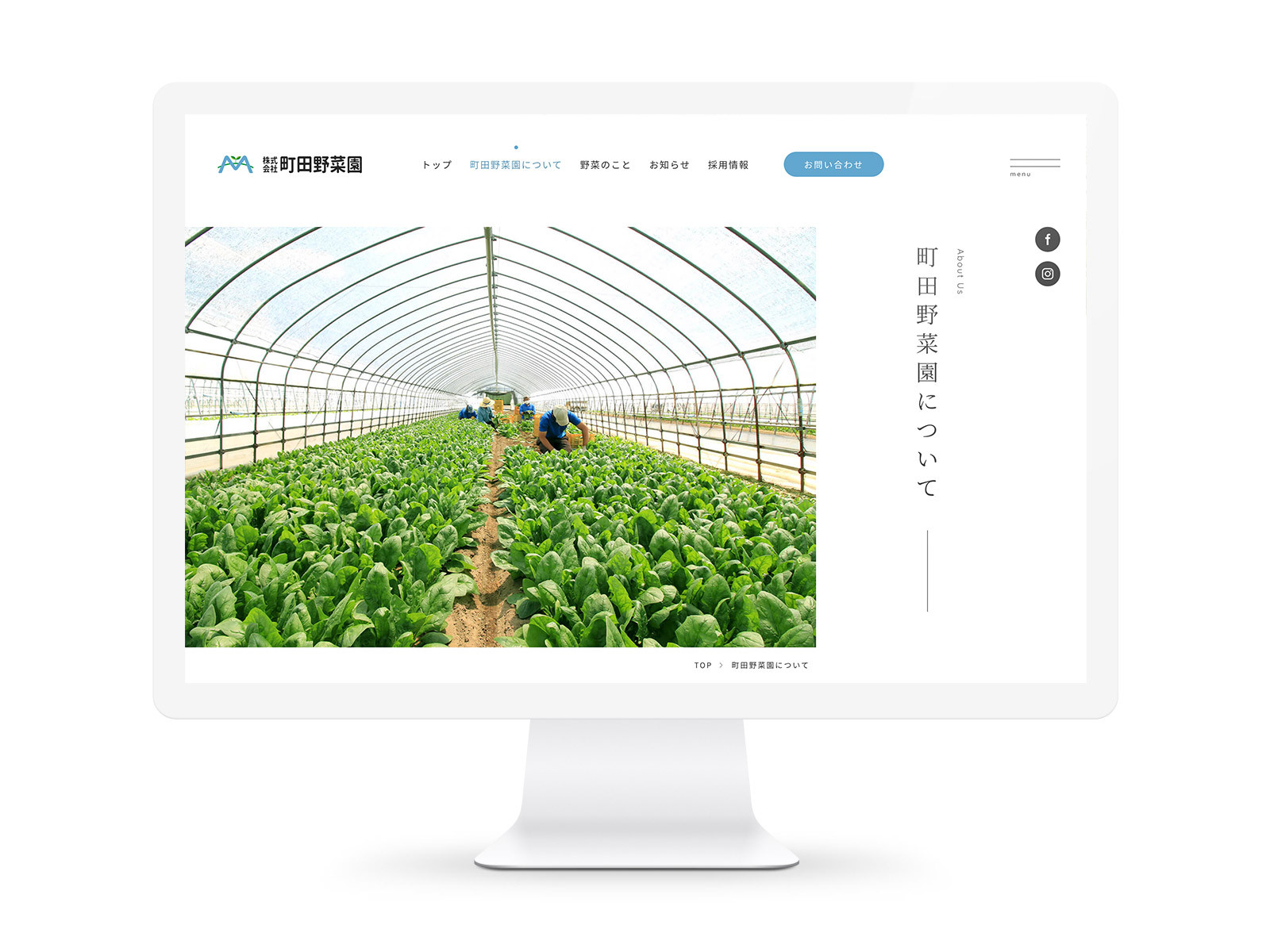 Machida Vegetable Farm image